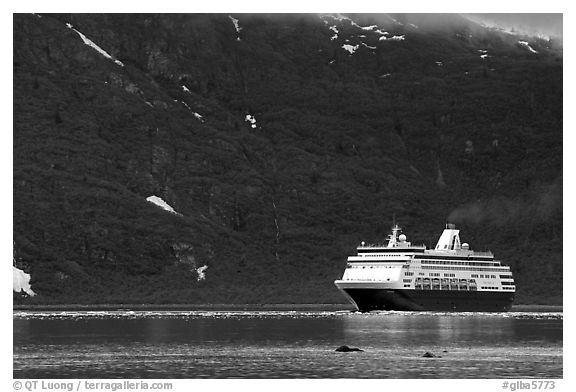Cruise ship, East arm. Glacier Bay National Park, Alaska