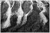 Avalanche gullies. Canada (black and white)