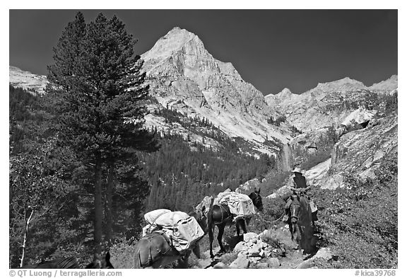 Man riding horse and Langille Peak, Le Conte Canyon. Kings Canyon National Park, California