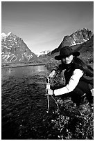 Woman filtering water from a stream. Lake Clark National Park, Alaska (black and white)