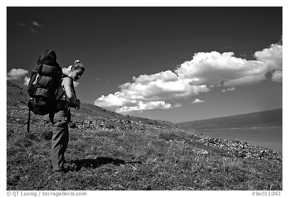 Backpacker looking at Turquoise Lake. Lake Clark National Park, Alaska