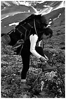 Woman backpacker with a large backpack tying up her shoelaces. Lake Clark National Park, Alaska (black and white)