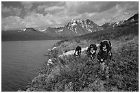 Backpackers travelling cross-country on the shore of Turquoise Lake. Lake Clark National Park, Alaska (black and white)