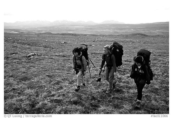 Three women backpackers walking in the tundra. Lake Clark National Park, Alaska