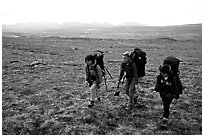 Three women backpackers walking in the tundra. Lake Clark National Park, Alaska (black and white)