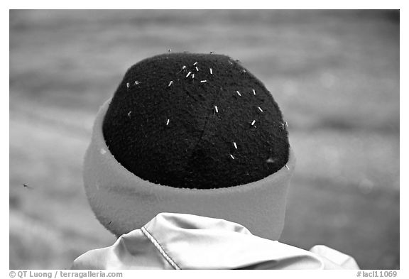 Hat covered with mosquitoes. Lake Clark National Park, Alaska