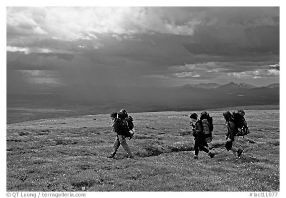 Three backpackers walk on a ridge in the tundra. Lake Clark National Park, Alaska