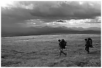 Two backpackers seen from the side walking fast in the tundra. Lake Clark National Park, Alaska (black and white)