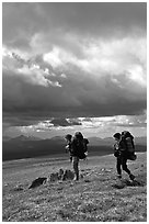 Backpackers seen from the side in the tundra. Lake Clark National Park, Alaska (black and white)
