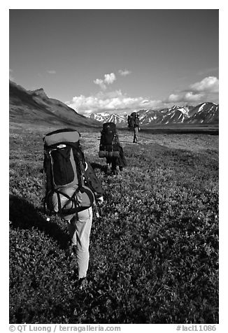 Backpackers with heavy packs. Lake Clark National Park, Alaska