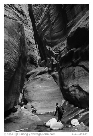 Hikers navigating narrows of Orderville Canyon. Zion National Park (black and white)