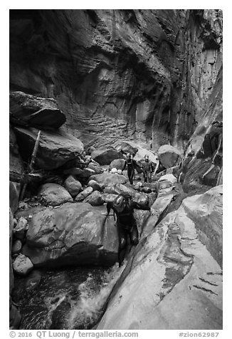 Canyoneers descend Orderville Canyon. Zion National Park (black and white)
