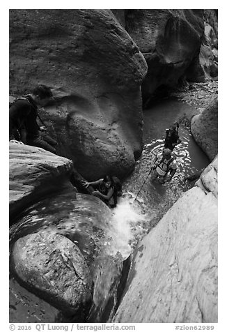 Hiker using log to descend along waterfall, Orderville Canyon. Zion National Park (black and white)