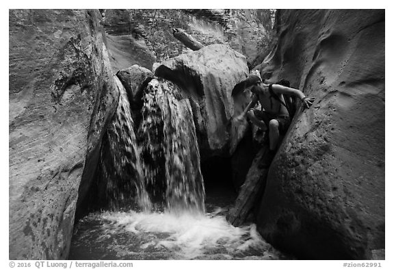 Hiker downclimbs on log along waterfall, Orderville Canyon. Zion National Park (black and white)