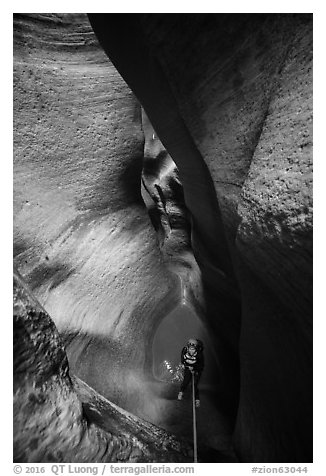 Descending using ropes into the depths of Keyhole Canyon. Zion National Park (black and white)