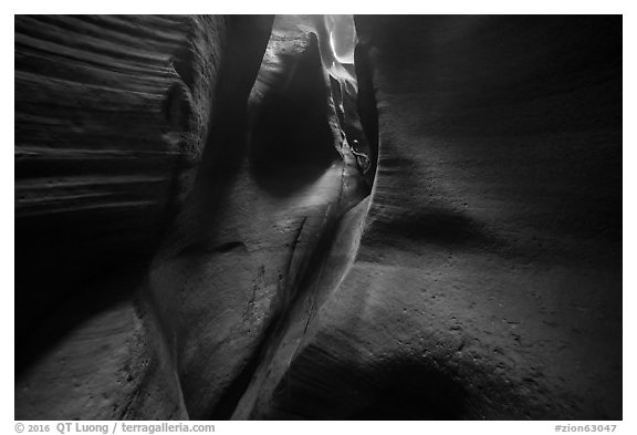 Canyoneer coiling ropes in the distance, Keyhole Canyon. Zion National Park (black and white)