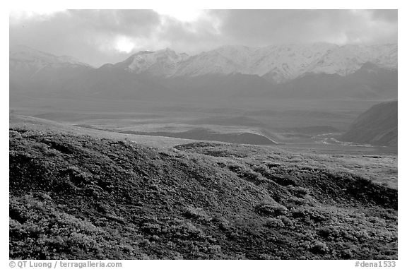 Tundra and Alaska Range near Sable pass. Denali National Park (black and white)