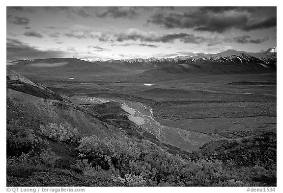 Tundra, braided rivers, Alaska Range in the evening from Polychrome Pass. Denali National Park, Alaska, USA.