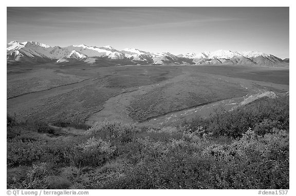 Tundra, braided rivers, Alaska Range at sunrise from Polychrome Pass. Denali National Park (black and white)