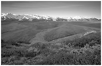 Tundra, braided rivers, Alaska Range at sunrise from Polychrome Pass. Denali National Park, Alaska, USA. (black and white)