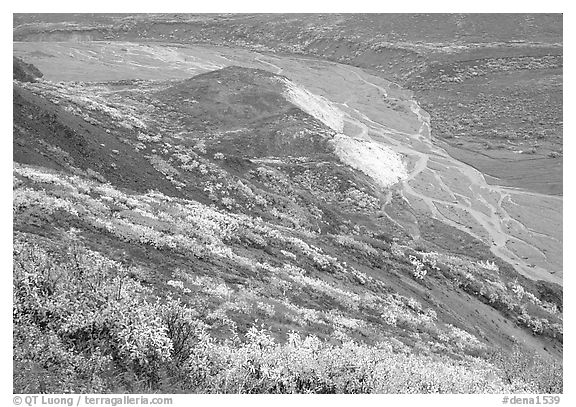 Tundra in fall color and braided river below, from Polychrome Pass. Denali National Park (black and white)