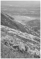 Tundra in autumn color and braided river in rainy weather. Denali National Park, Alaska, USA. (black and white)