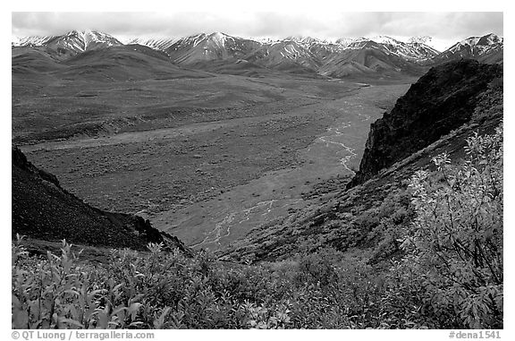 Tundra, wide valley with rivers, Alaska Range in the evening from Polychrome Pass. Denali National Park (black and white)