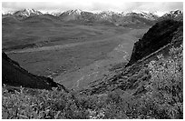 Pictures of Braided Rivers