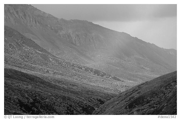 Rainbow and mountains near Sable Pass. Denali National Park (black and white)