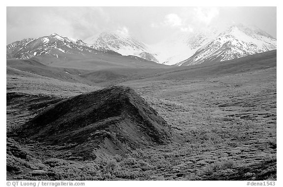 Hills and mountains near Sable Pass. Denali National Park (black and white)