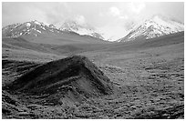 Hills and mountains near Sable Pass. Denali National Park, Alaska, USA. (black and white)