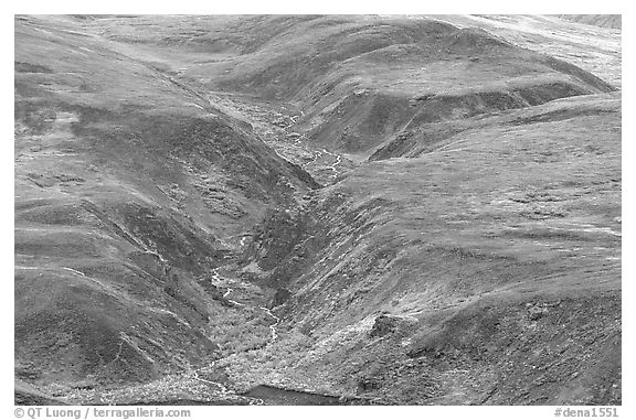 River cut in tundra foothills near Eielson. Denali National Park (black and white)