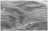 River cut in tundra foothills near Eielson. Denali National Park, Alaska, USA. (black and white)