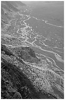 Aspen trees and braids of the Mc Kinley River near Eielson. Denali National Park, Alaska, USA. (black and white)