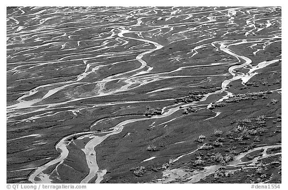 Braids of the Mc Kinley River near Eielson. Denali National Park, Alaska, USA.