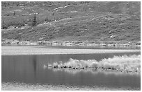 Tundra and Wonder Lake. Denali National Park, Alaska, USA. (black and white)