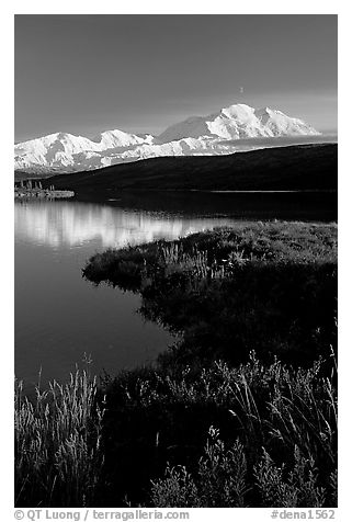 Mt Mc Kinley above Wonder Lake, evening. Denali National Park, Alaska, USA.