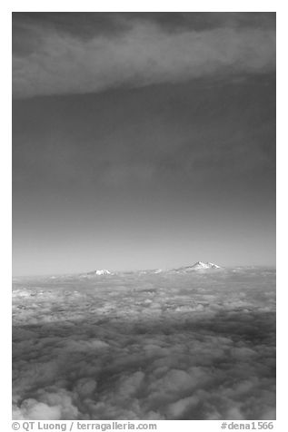 Mt Foraker and Denali emerge from sea of clouds. Denali National Park (black and white)