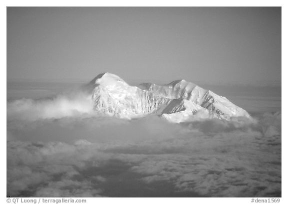 Mt Mc Kinley emerges from a sea of clouds. Denali National Park, Alaska, USA.