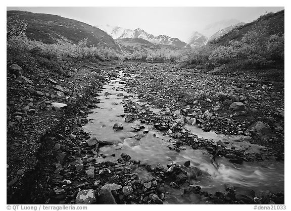 Creek near Polychrome Pass. Denali  National Park (black and white)