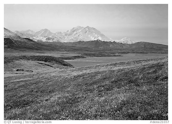 Tundra and Mt Mc Kinley from Eielson. Denali National Park (black and white)