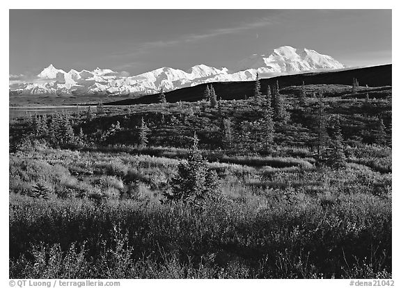 Tundra and Mt McKinley range, late afternoon light. Denali National Park (black and white)