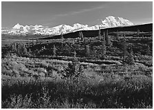 Tundra and Mt McKinley range, late afternoon light. Denali National Park, Alaska, USA. (black and white)