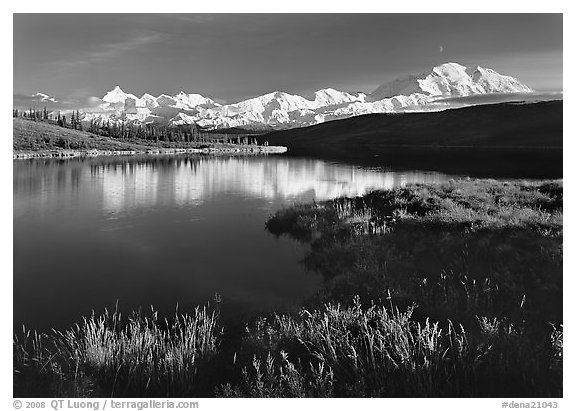 Mt Mc Kinley above Wonder Lake, evening. Denali National Park (black and white)