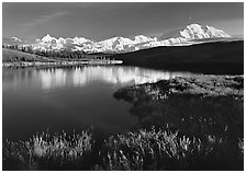 Mt Mc Kinley above Wonder Lake, evening. Denali National Park ( black and white)