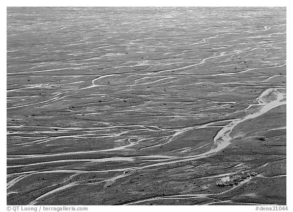 Braids of the McKinley River on sand bar near Eielson. Denali National Park, Alaska, USA.