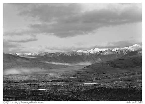 Tarn lakes, tundra, and snowy mountains of Alaska Range with patches of light. Denali National Park (black and white)