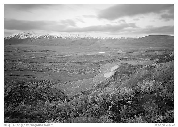 Tundra and braided rivers from Polychrome Pass, afternoon. Denali  National Park (black and white)