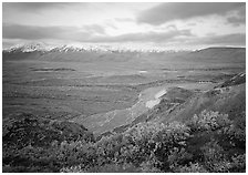 Tundra and braided rivers from Polychrome Pass, afternoon. Denali National Park, Alaska, USA. (black and white)