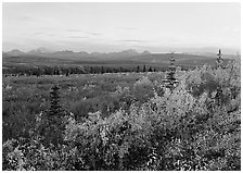 Autumn bushes, tundra, and Alaska range at dusk. Denali National Park, Alaska, USA. (black and white)